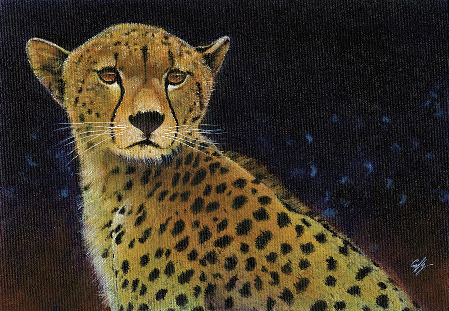 Cheetah Painting - Cheetah by Durwood Coffey
