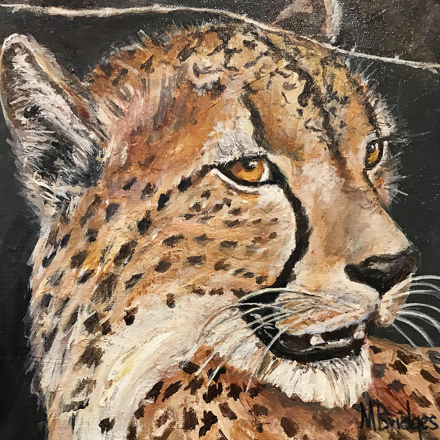 Cheetah Painting by Mary Bridges - Fine Art America