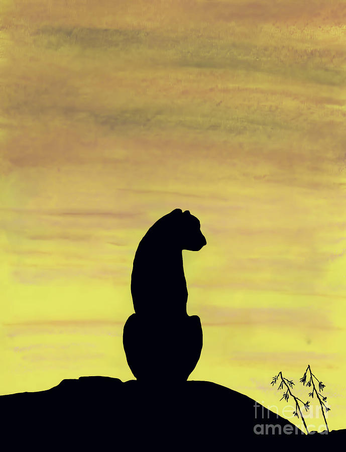 Cheetah Sunset Drawing by D Hackett