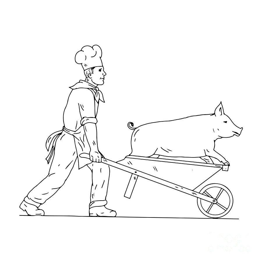 Black And White Digital Art - Chef With Wheelbarrow and Pig Drawing Black and White by Aloysius Patrimonio