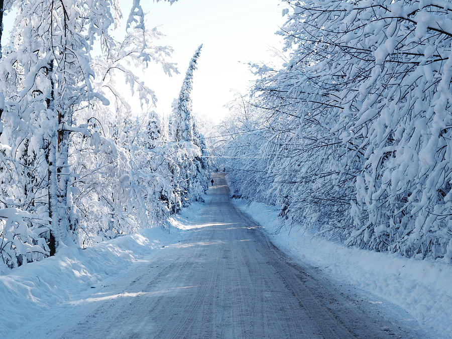 Chelsea Road In Winter 1 Photograph by Clive Branson - Fine Art America