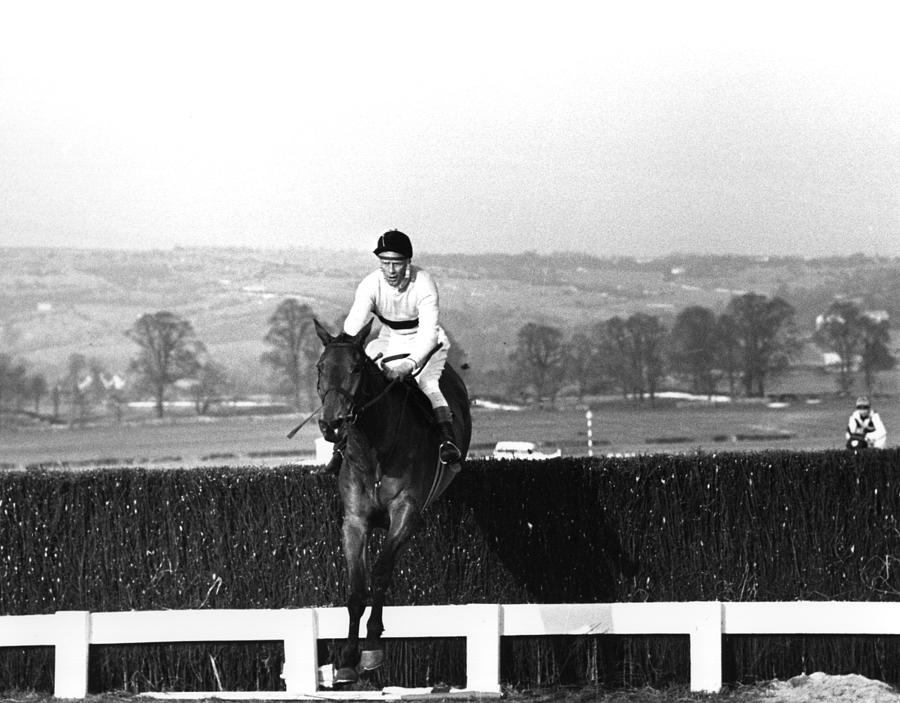 Cheltenham Gold Cup by Hulton Archive