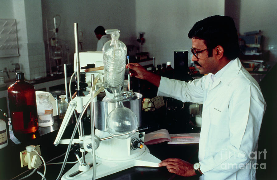 Chemist Using Distillation Apparatus Photograph by Peter Menzel/science Photo Library