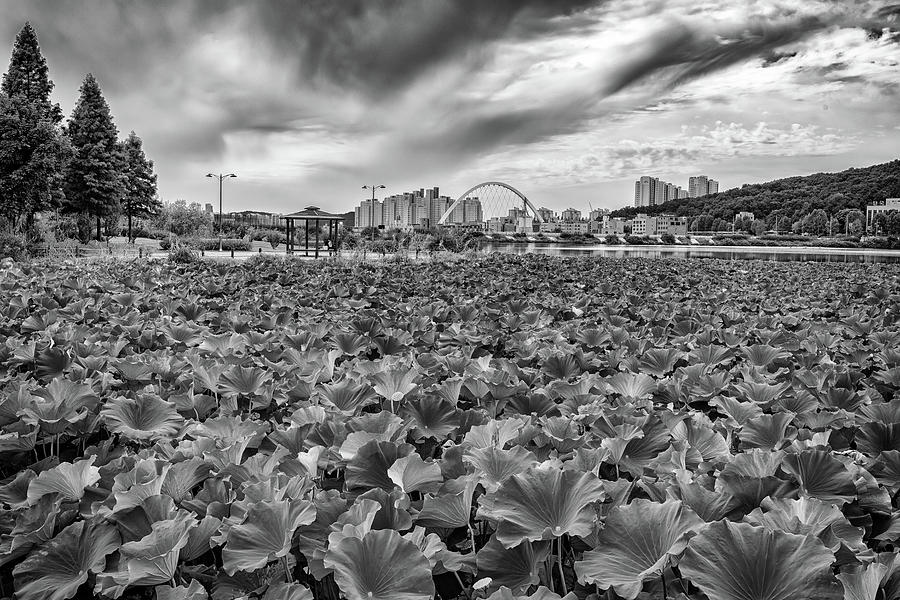 Bridge Photograph - Cheonhoji Pond in Black and White by Rick Berk