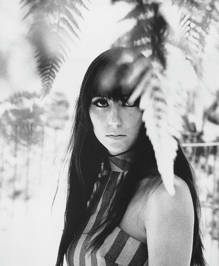 Cher Portrait With Ferns Photograph by Michael Ochs Archives