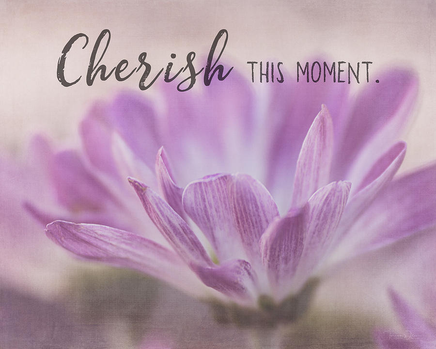 Cherish This Moment Photograph by Teresa Wilson