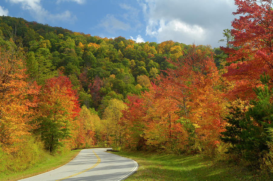 Cherohala Skyway In Late October, Nc Photograph by Greenstock
