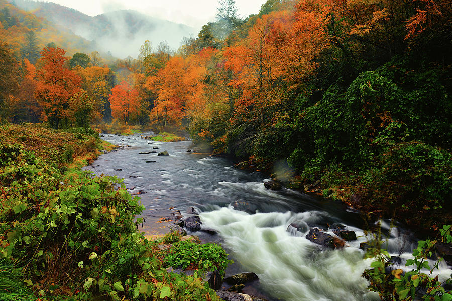 Cherokee Autumn Photograph by Greg Norrell