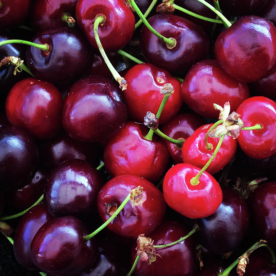 Cherries Photograph by Seeables Visual Arts