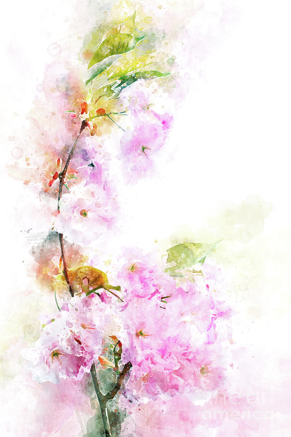 Cherry Blossom Digital Art by Ann Garrett
