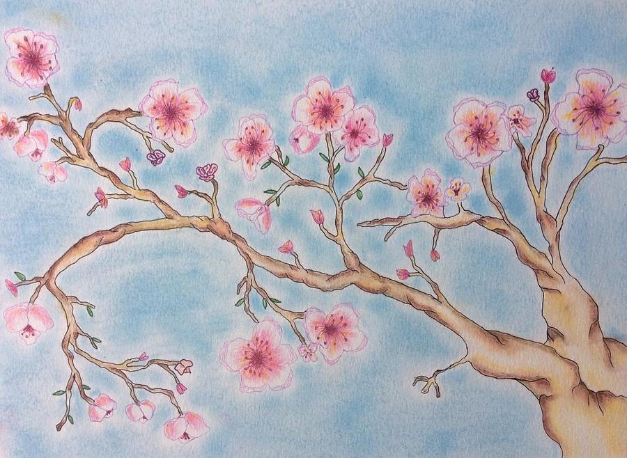 Cherry Blossom Branches Pastel by Joanna Smith