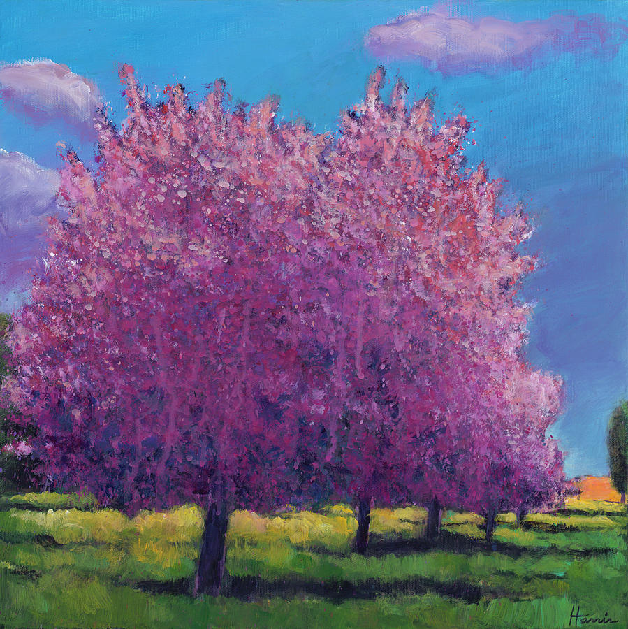 Nature Painting - Cherry Blossom Day by Johnathan Harris
