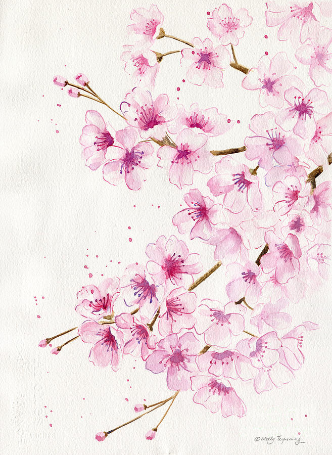 Flower Painting - Cherry Blossom  by Melly Terpening