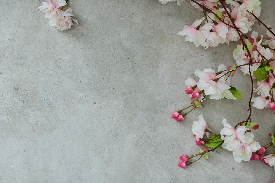 Cherry Blossom On Grey Surface Photograph by Edyta Girgiel