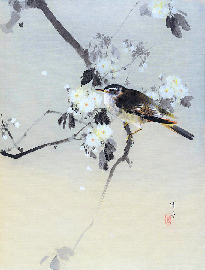 Cherry Blossoms and Bird - Digital Remastered Edition Painting by Watanabe Seitei