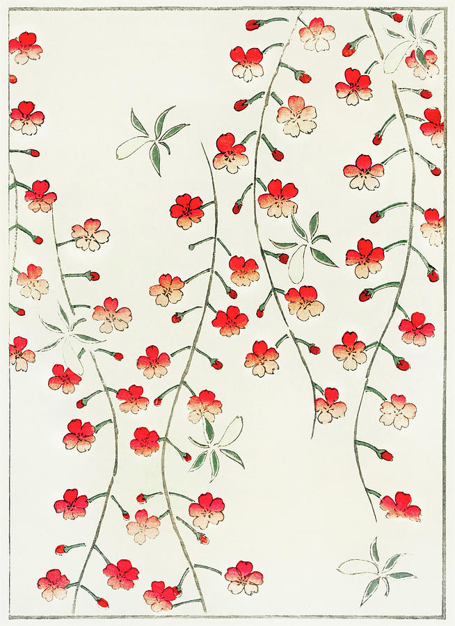 Cherry Blossoms - Japanese traditional pattern design Painting by Watanabe Seitei