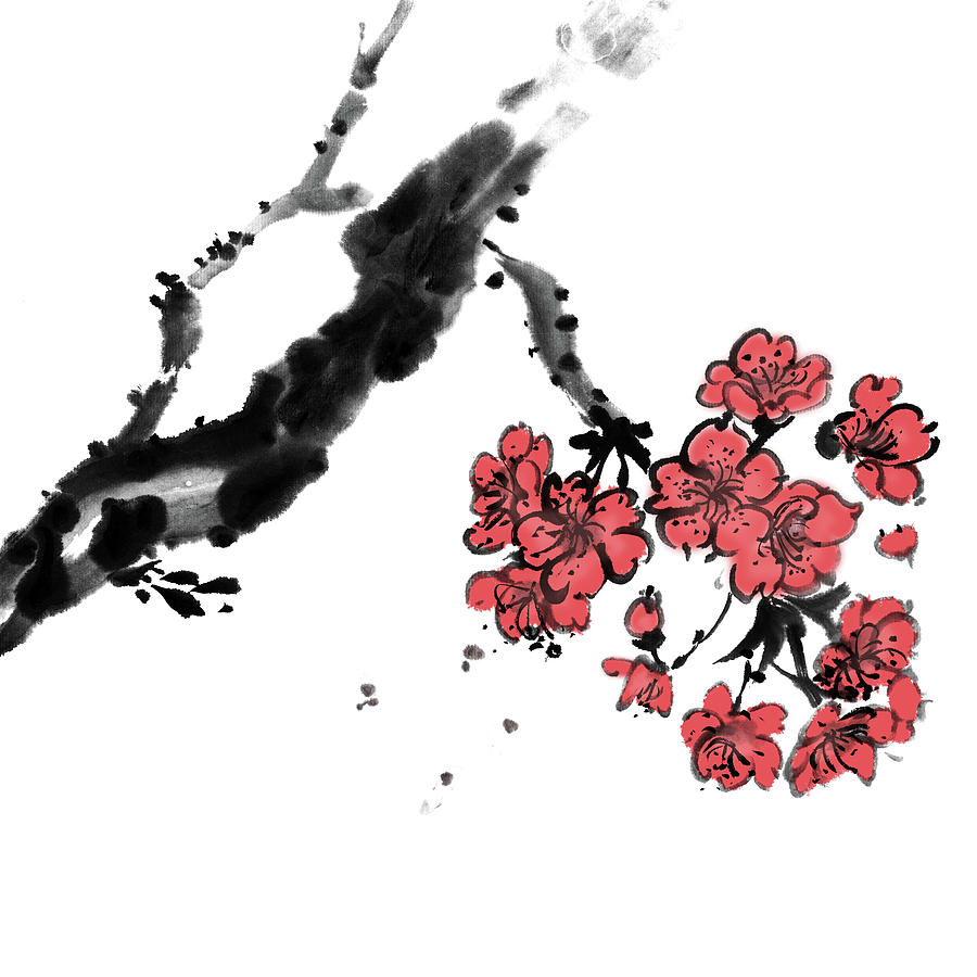 Cherry Blossoms Digital Art by Vii-photo