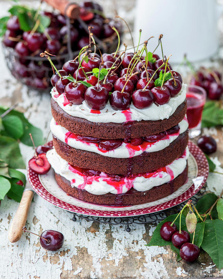 Cherry Chocolate Cake With Mascarpone Cream Photograph by Irina Meliukh ...