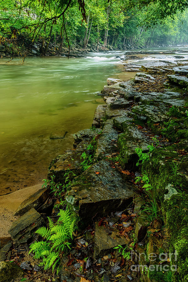 Cherry Falls on Elk River Photograph by Thomas R Fletcher