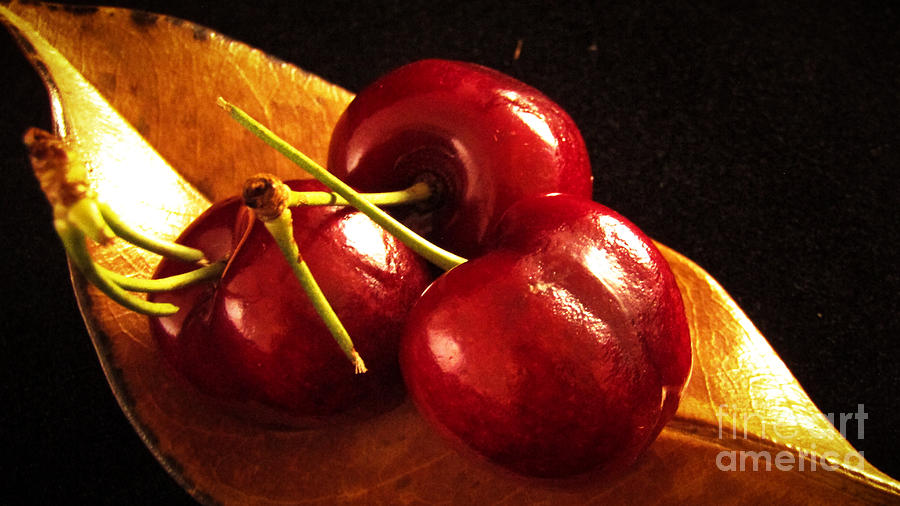 Cherry Leaf Redux by Robert Knight Cherry Leaf Redux by Robert Knight