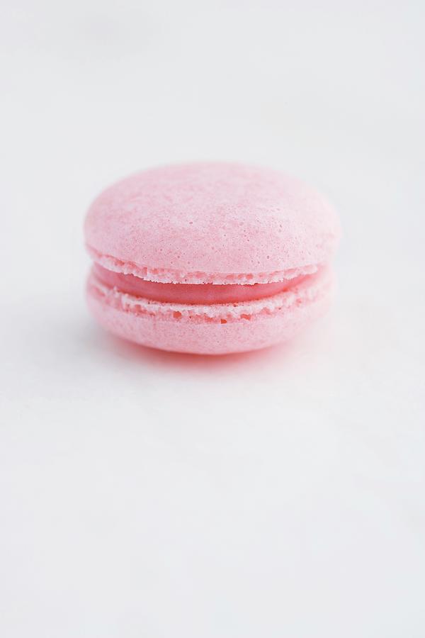 Cherry Macaron Photograph by Michael Wissing