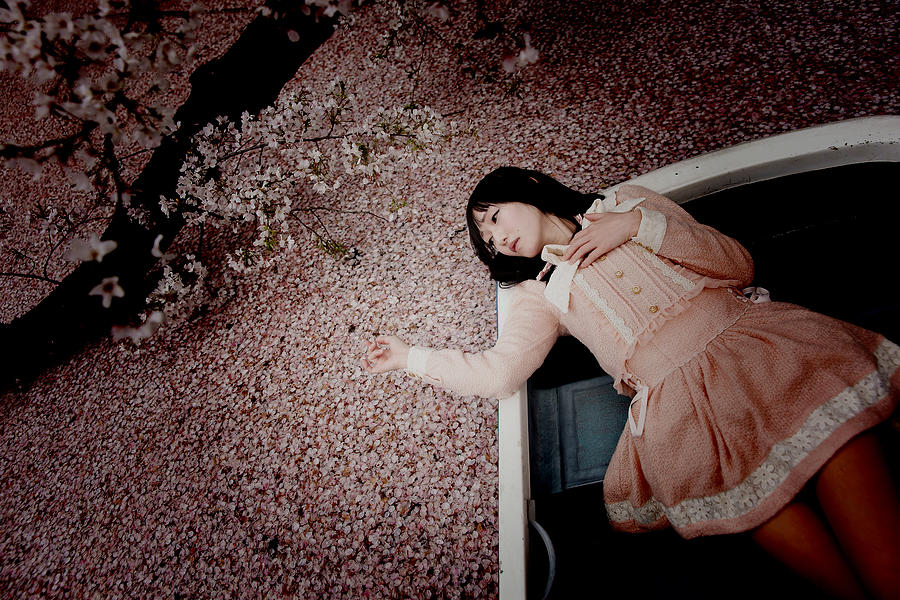 Portrait Photograph - Cherry Petals Fall. by 7 Flavor C/p