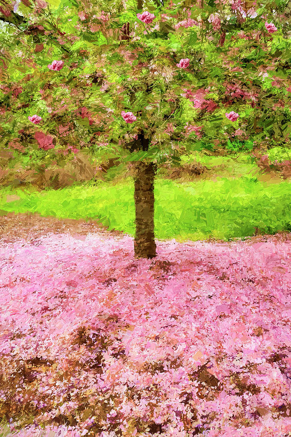 Cherry Pink Ground AP Painting by Dan Carmichael