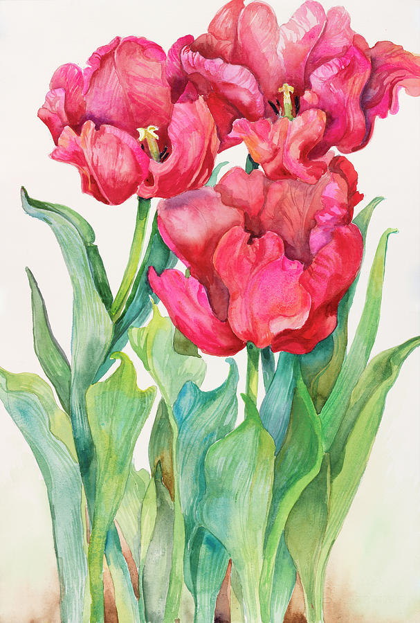 Cherry Red Tulip Painting by Joanne Porter - Fine Art America