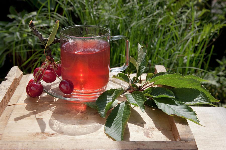 Cherry Stem Tea Photograph by Sabine Lscher