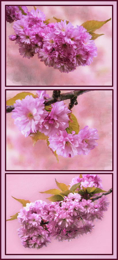 Cherry Trees -Triptych Vertical Photograph by Leslie Montgomery