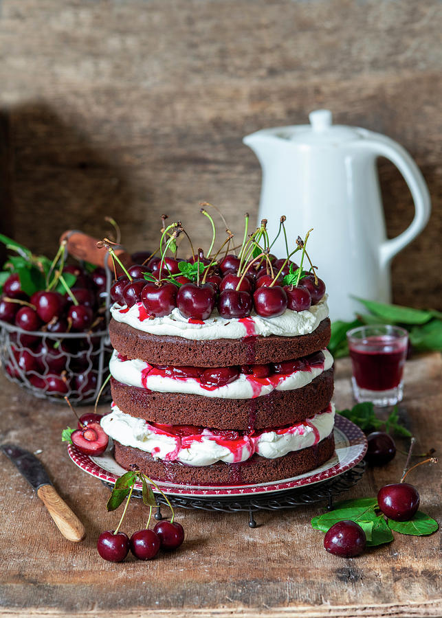 Cherry_chocolate_cake Photograph by Irina Meliukh