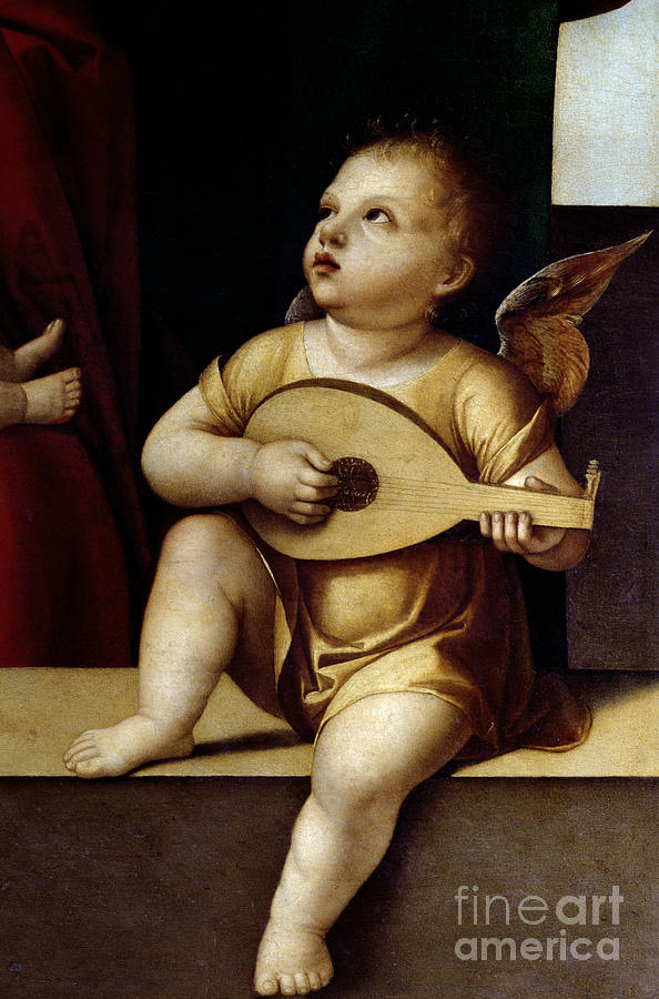 Cherub Playing A Lute Painting by Alvise Vivarini - Fine Art America