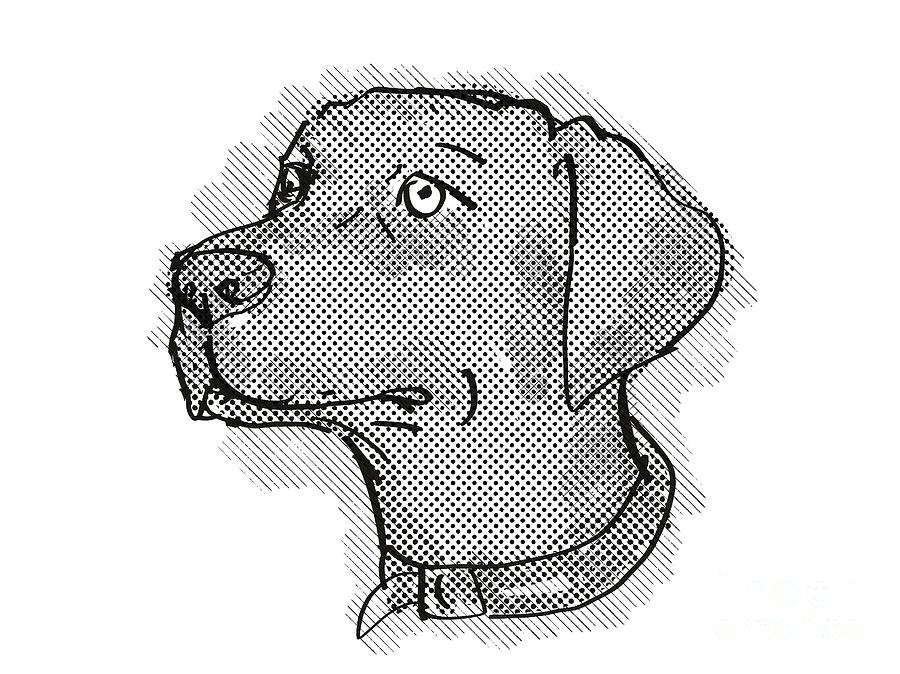 Chesapeake Bay Retriever Dog Breed Cartoon Retro Drawing Digital Art