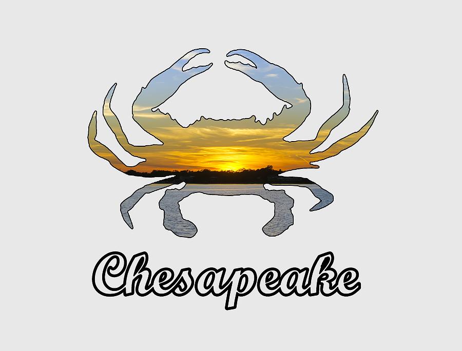 Chesapeake Emblem Photograph by Brian Wallace