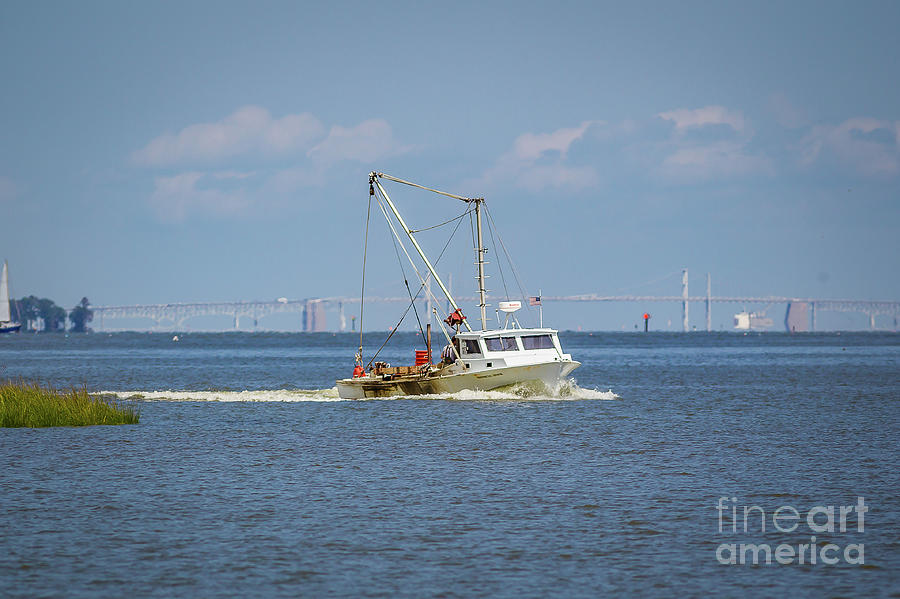 Chesapeake Workboat Photograph by Kathy Sherbert