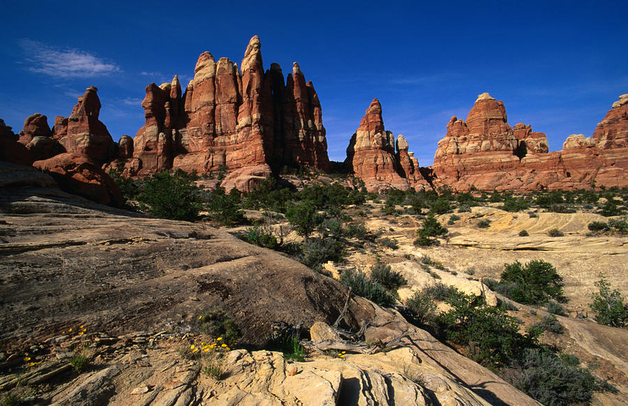 Chesler Park Trail In Needles Region Photograph by Lonely Planet