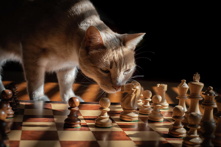 Chess with Achilles by Rick J Brown Chess with Achilles by Rick J Brown