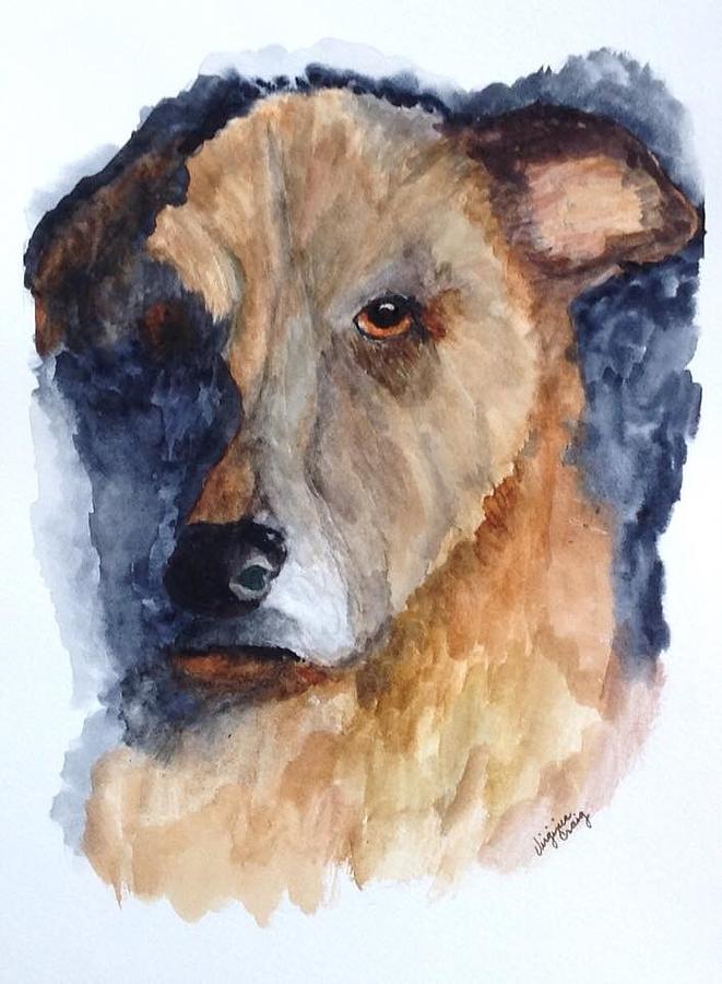 Chester by Virginia Craig Chester by Virginia Craig