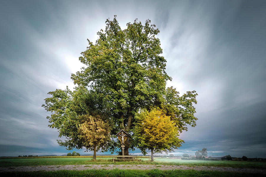 Chestnut Tree With Way Cross And Imposing Cloud Sky On The Field Photograph by Christoph Olesinski