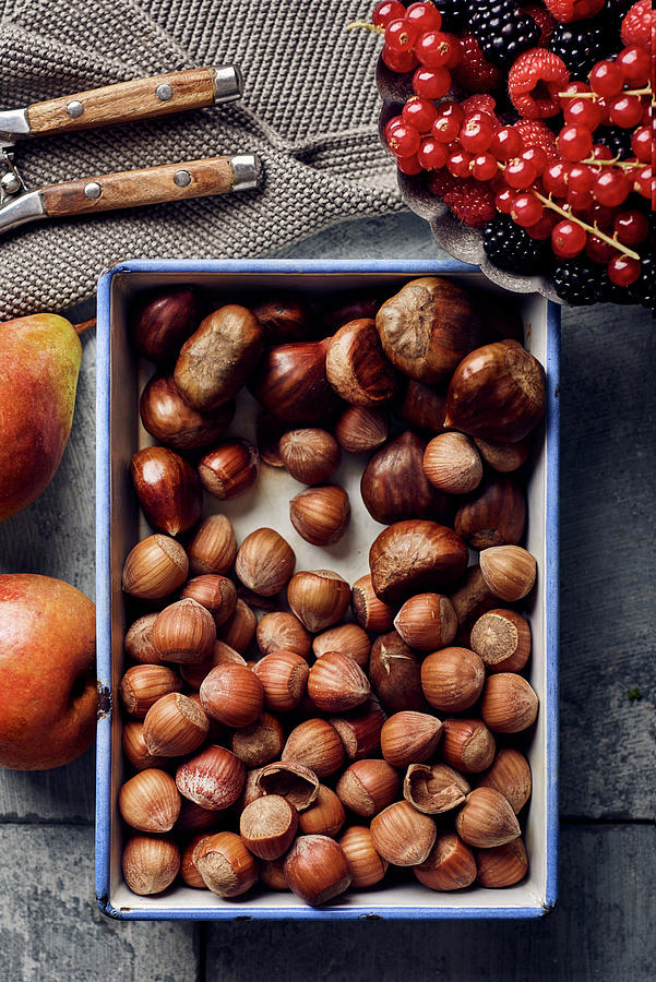 Chestnuts, Hazelnuts, Fresh Berries And Pears Photograph by Angelika Grossmann