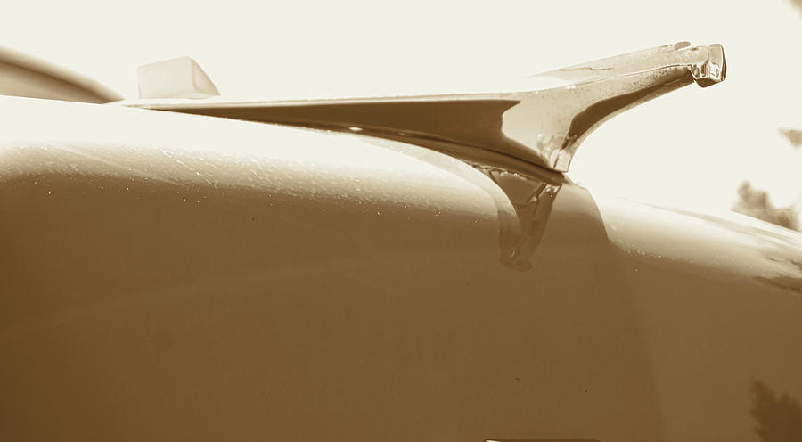 Chevy Belair Hood Ornament bw Photograph by Cathy Anderson