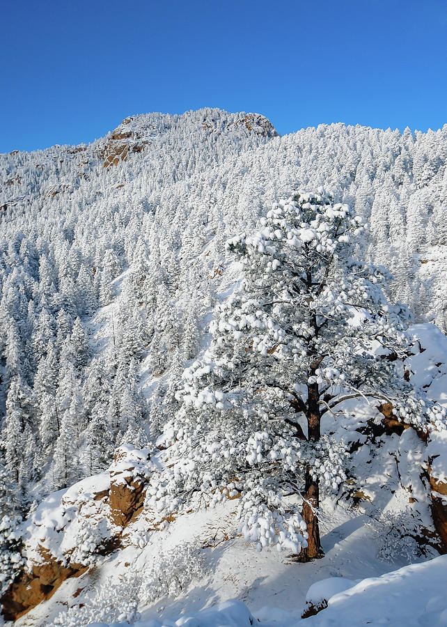 Cheyenne Canyon Winter Wonderland - 1 Photograph by Thomas Magnuson ...