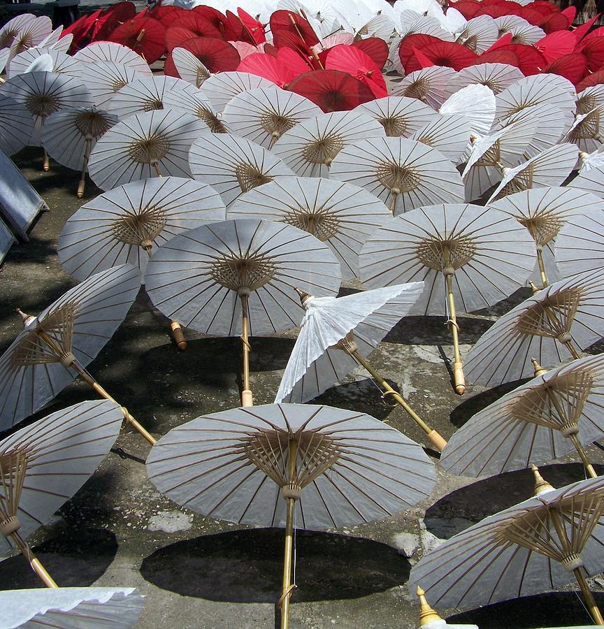 Chiang Mai Umbrellas Photograph by Photo By Rebecca Dawn Charles