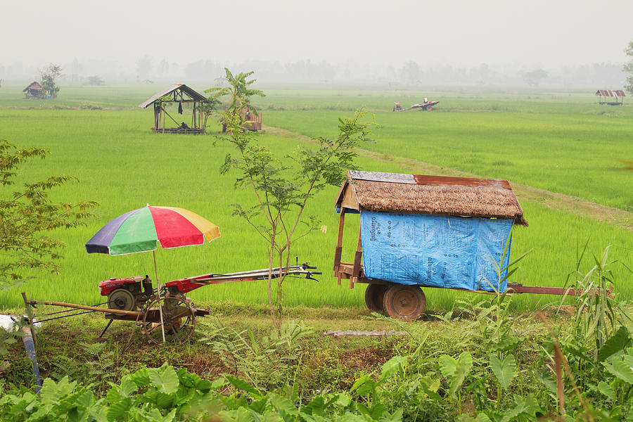 Chiangrai_rice Fields Photograph by Jean-claude Soboul