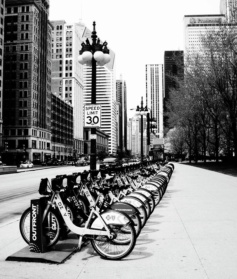 Chicago Bikes Pyrography By DeLaine Klar Fine Art America   Chicago Bikes Delaine Klar 