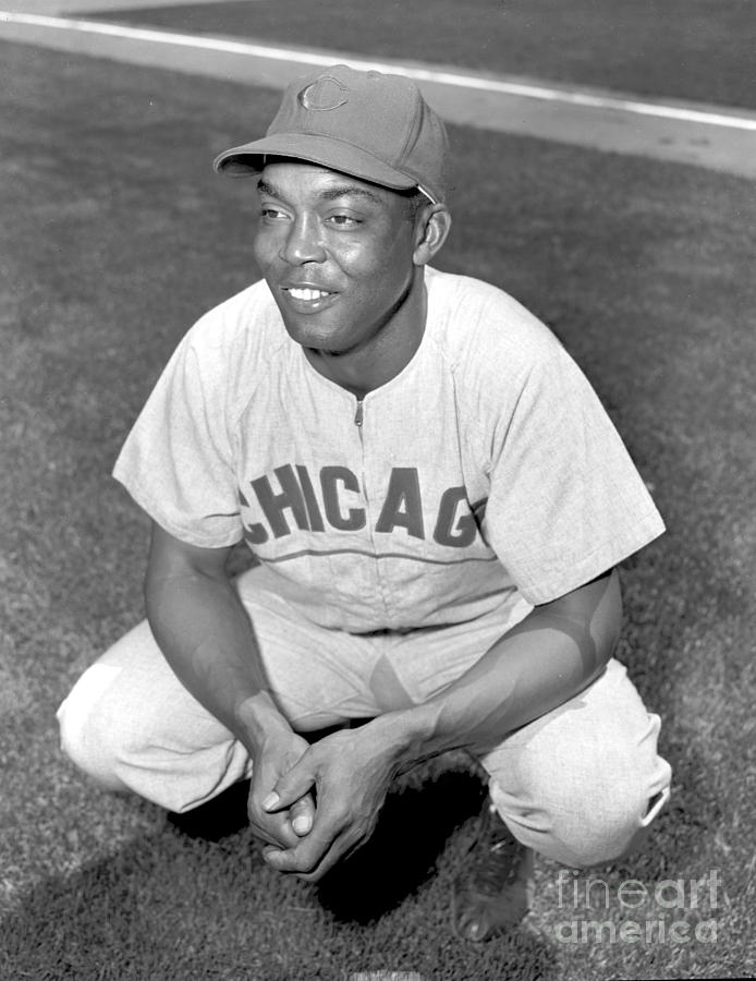 Chicago Cubs V New York Giants Photograph by Kidwiler Collection Chicago Cubs V New York Giants Photograph by Kidwiler Collection