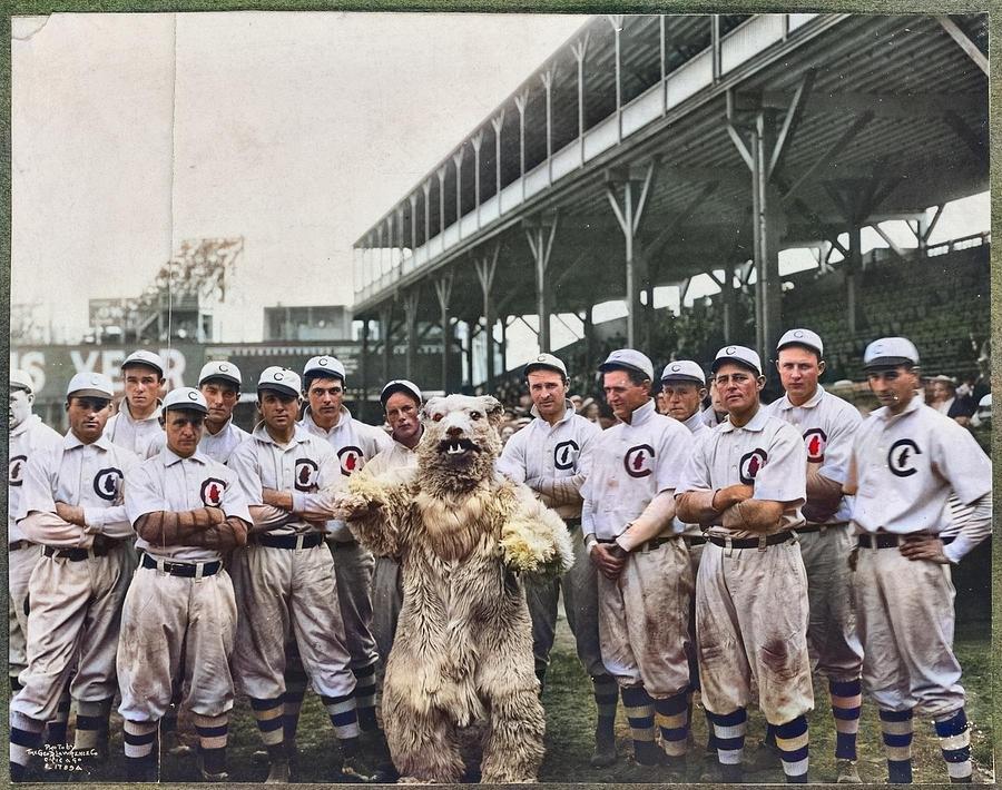 Chicago Cubs Vintage Photo Print Team Photograph Bear Mascot Baseball Sports Black And White Photogr Painting