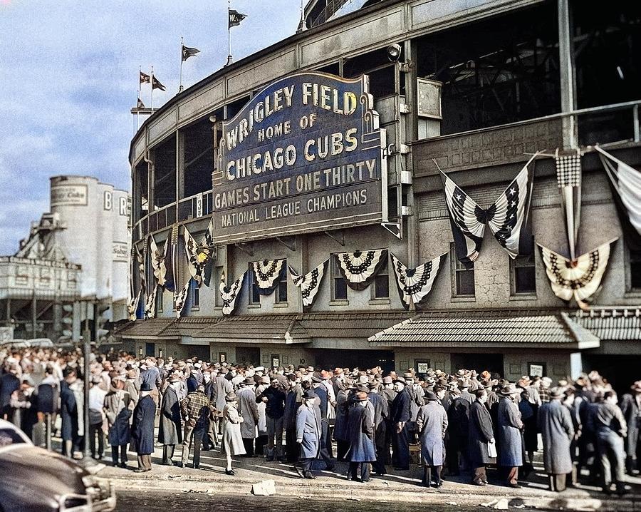 Chicago Cubs Wrigley Field Vintage Photo Print Baseball Stadium Antique Photograph Sports Decor Phot Painting