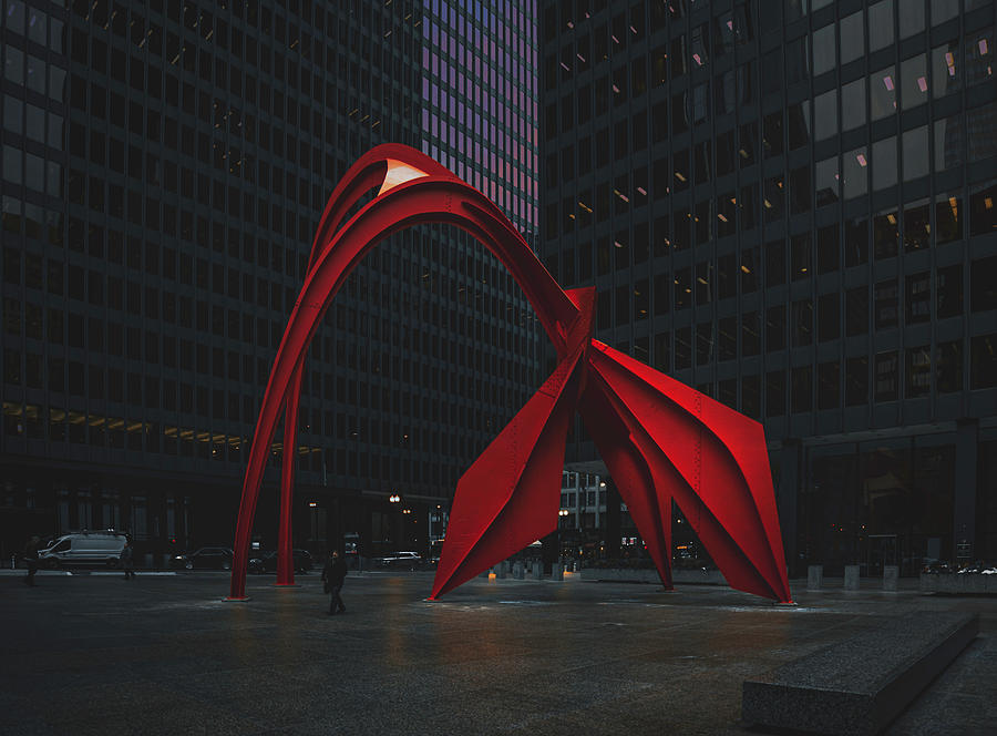 Chicago Flamingo Photograph by Christopher Smith - Pixels