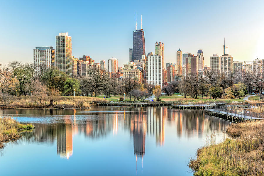 Chicago Skyline Photograph by Fred Faulkner - Fine Art America